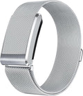 WHOOP Milanese Loop Strap - Silver